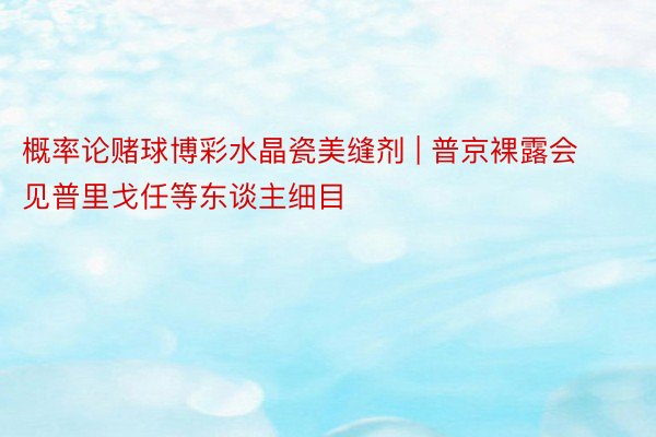 概率论赌球博彩水晶瓷美缝剂 | 普京裸露会见普里戈任等东谈主细目