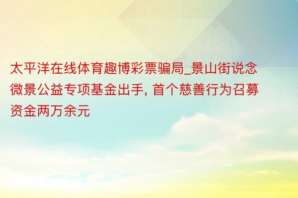 太平洋在线体育趣博彩票骗局_景山街说念微景公益专项基金出手, 首个慈善行为召募资金两万余元