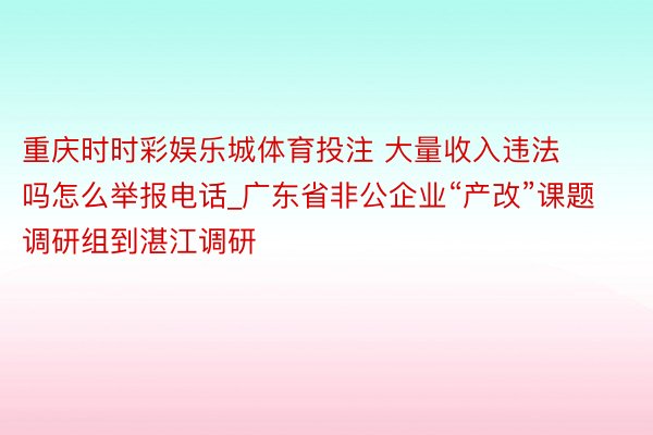 重庆时时彩娱乐城体育投注 大量收入违法吗怎么举报电话_广东省非公企业“产改”课题调研组到湛江调研