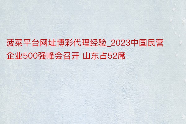 菠菜平台网址博彩代理经验_2023中国民营企业500强峰会召开 山东占52席