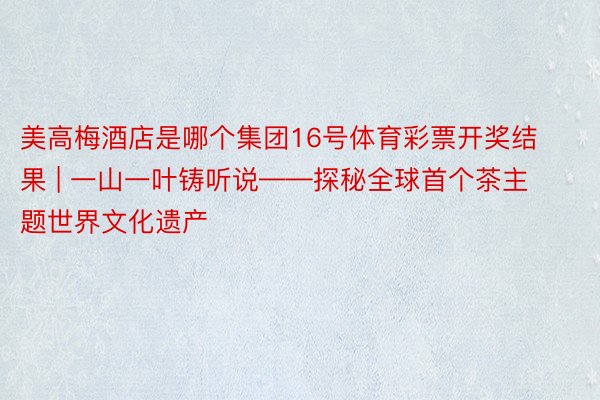 美高梅酒店是哪个集团16号体育彩票开奖结果 | 一山一叶铸听说——探秘全球首个茶主题世界文化遗产