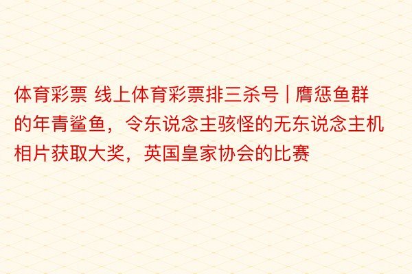 体育彩票 线上体育彩票排三杀号 | 膺惩鱼群的年青鲨鱼，令东说念主骇怪的无东说念主机相片获取大奖，英国皇家协会的比赛