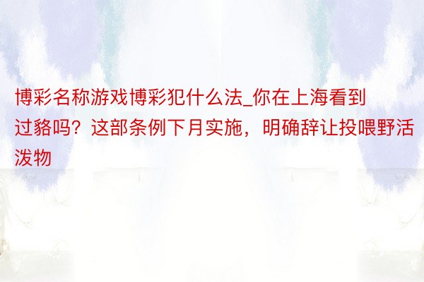 博彩名称游戏博彩犯什么法_你在上海看到过貉吗？这部条例下月实施，明确辞让投喂野活泼物