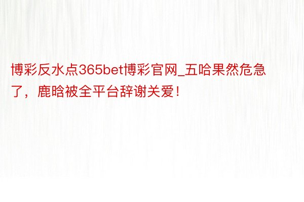 博彩反水点365bet博彩官网_五哈果然危急了，鹿晗被全平台辞谢关爱！